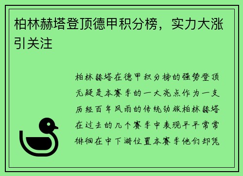 柏林赫塔登顶德甲积分榜，实力大涨引关注